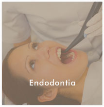 Endodontia